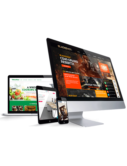 Web Design & Development in chennai